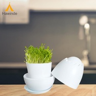 Hawinde Bean Sprouter Sprouting Container Storage with Screen with Lid Germinate Pot Bean Sprout Gro