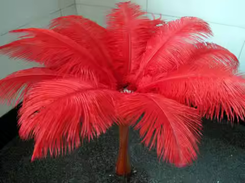 Free shipping 10 PCS beautiful natural red ostrich feather 50-55 cm / 20 to 22 inches