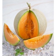 10 rock melon seed/ 10 biji benih rock melon