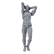 Figuart Body Kun / Action Figure Toy / Sketch Draw Male Female / Body Chan Joint