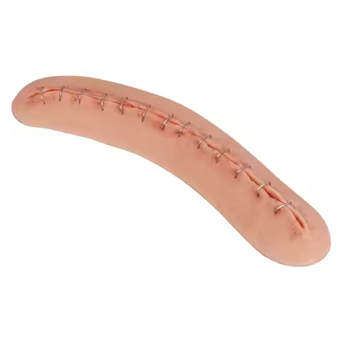 Ultrassist Adhesive C-Section Wound Model with Staples Cesarean Incision Wound Simulator for OB/GYN 