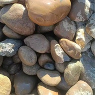 Natural Large River Pebbles Lawn Landscape Stones Engraved River Pebbles Courtyard Garden Campus Par
