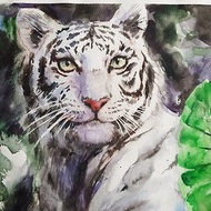 Cute White tiger artwork hand painted Watercolor painting on paper