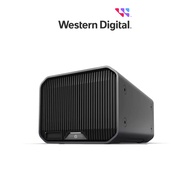 SanDisk Professional G-RAID PROJECT 2