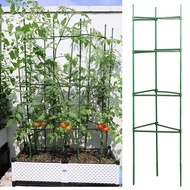 12 Pieces Garden Plant Stand Climbing Vine Stand Extendable Arm Cage Pot Frame Connector Plant Pile