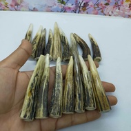 pipa rokok tanduk rusa original