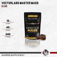 Vectorlabs Master Mass Gainer 2 Lbs Susu Protein Weight Gain