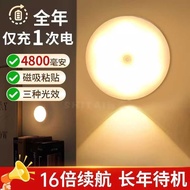 Human Body Sensor Light Bedroom Sleep Light Household Aisle Smart Bedside Aisle Light Sound Light Co