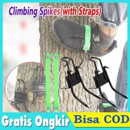 Tree CLIMBING / TREE Massage Tools / Simple And Practical TREE Tools