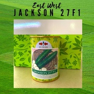 East West Cucumber Pipino JACKSON 27 F1 Canned Seeds 50g