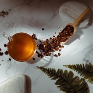 【美麗東可可】可豆茶袋裝(10g*10包) 無糖巧克力茶 低咖啡因