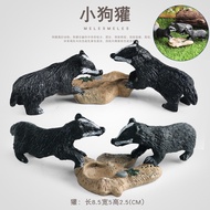Children Cognitive Simulation Wild Mammal Model Toy Dog Badger Young Cub Weasel Badger Mountain Badg