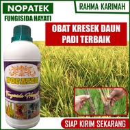 Nopatek Obat Kresek Daun Padi Terbaik - Pupuk Fungisida Penghijau Daun Tanaman Padi Sawah Paling Bagus - Obat Padi Sawah Mati Pucuk - Obat Hama Tanaman Daun Padi Merah - Obat Hama Padi Sawah Kuning Daun