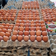 DISKON TERBATAS HarvestMoon Telur Ayam 1 peti