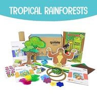 Tropical Rainforests | GummyBox | Creative Toys for Children 4+ Years Old