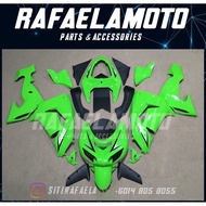 Kawasaki ZX-10R Full Coverset Year 2006-2007 Fairing 6