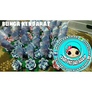 Bunga kendarat bunga rewang(50pcs)