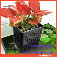 [WMP]  Easy-to-use Aquatic Plant Stand Aquarium Plant Holder Set with Hanging Hooks for Aquascape De