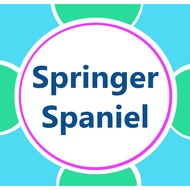 A.D.M  - SPRINGER SPANIEL IN TYPE SS7 GAME EDITION (PC GAME)