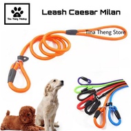 Cesar Milan "Large" Dog Leash Training Leash - Reliable Blue