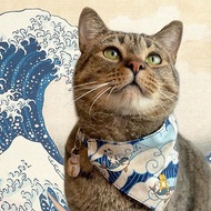 Surfing cat Bandana Cat Collar with Breakaway Safety Buckle