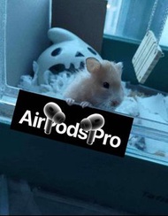 apple教育優惠，有airpod 4/pro2 優先（免費+補錢+貼錢）