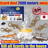 Kills 10000 lizards in 1night Lizard killer 1 Box/8 pieces lizard killer bait killer Cicak killer 10