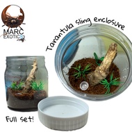 Tarantula Sling Enclosure - Terrestrial/Fossorial/Arboreal