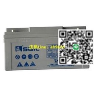 風帆蓄電池6-GFM-65 12V65Ah鉛酸免維護UPS機房EPS通信基站太陽能