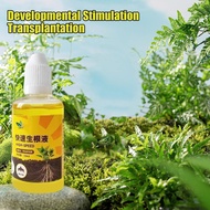 50ml Rapid Rooting Solution For Plants Rapid Rooting Solution For Gardening Transplanting Flower See