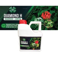 SEAWEED+AMINO - BAJA FOLIAR DURIAN (DARI BENIH HINGGA POKOK TUA) - BAJA SUBUR SEPANJANG HAYAT - 4L