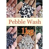 Loose Pebble, Pebble Wash Stone 1 Kg - suitable for succulent, decorative stone, batu hiasan
