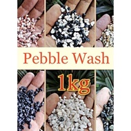 Loose Pebble, Pebble Wash Stone 1 Kg - suitable for succulent, decorative stone, batu hiasan