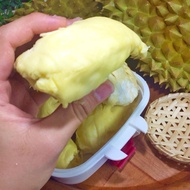 【阿成水果】越南金枕頭榴槤 (3~4粒/10kg/箱)