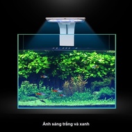 (Nationwide) mini desktop fish tank size 30x20x20 with plastic pebbles, waterfall filter, beautiful 