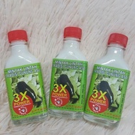 MINYAK LINTAH GUNUNG ASLI ORIGINAL