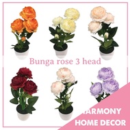 New Roses Flower 3 Head