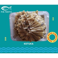 Dried Dwarf Fish/Dried Dwarf Whiprays Tanjugn Dawai