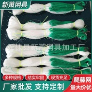 Plant] [Cucumber Wholesale Vine Climbing Net Vegetable Manufacturer Gardening Yam Net Bean Corner Cl