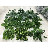 7-branched leaf cluster