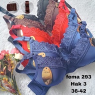 PW Bra BH Busa fema 286 293 polos Renda Tanpa Kawat