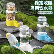 Penghidup air automatik untuk burung budgerigar dan cockatiel, penghidup makanan automatik untuk bur