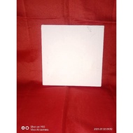 Canvas Painting 20X20