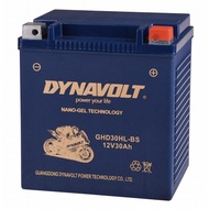 Harley Davidson Battery Dynavolt Gel Battery GHD30HL-BS Battery 12 Volt NANO-GEL Series