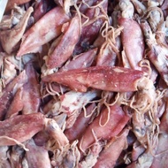 Cumi Enak / Cumi Murah / Cumi Gurih / Cumi Kering / Cumi Segar / Cumi Asin/Cumi Asin Baby Kering 1 K
