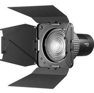 【控光後衛】 Godox FLS5 Fresnel菲涅爾光學透鏡+四葉片套組 公司貨