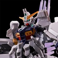 【預購】PB限定 萬代 HG 1/144 GUNDAM ZIRIUS