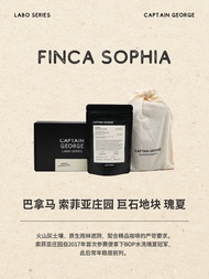 Panama Sophia Geisha Hand Drip Coffee Beans