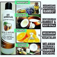 MY HOME LAB SHAMPOO SANTAN