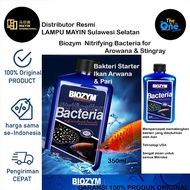Biozym Nitrifying Bacteria Highly Concentrate Formula for Arowana & stingray Bakteri Starter Arwana 